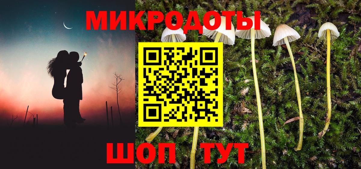Псилоцибиновые грибы ЛСД Канаш